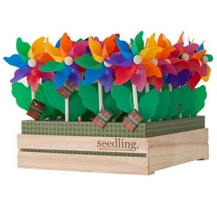 SEEDLING - &Alpha;&Nu;&Epsilon;&Mu;&Omicron;&Mu;&Upsilon;&Lambda;&Omicron;&Iota; &Sigma;&Epsilon; DISPLAY (20 &tau;&epsilon;&mu;.)