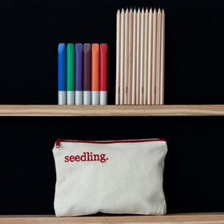 SEEDLING - ΣΧΕΔΙΑΣΕ ΤΗ ΔΙΚΗ ΣΟΥ ΚΑΣΕΤΙΝΑ (1 τεμ.)